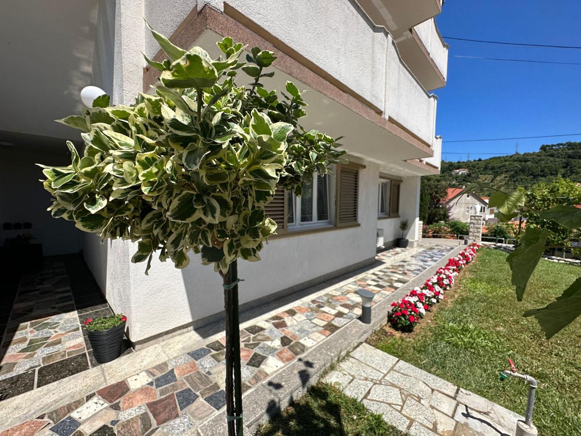 Apartments Vinse Near Rab Center Раб Екстериор снимка